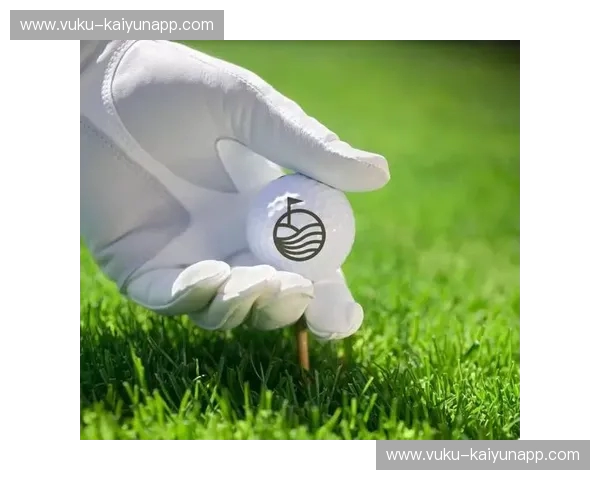 高尔夫泳帽——把优雅带进每一次入水 高尔夫泳帽——把优雅带进每一次入水