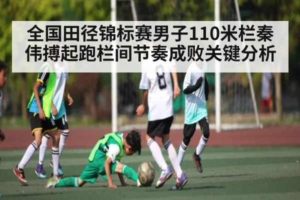 全国田径锦标赛男子110米栏秦伟搏起跑栏间节奏成败关键分析